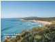 20 Borang Street, Potato Point NSW 2545