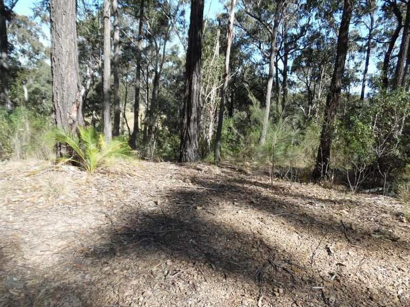 19 Cheetham Street, Moruya NSW 2537