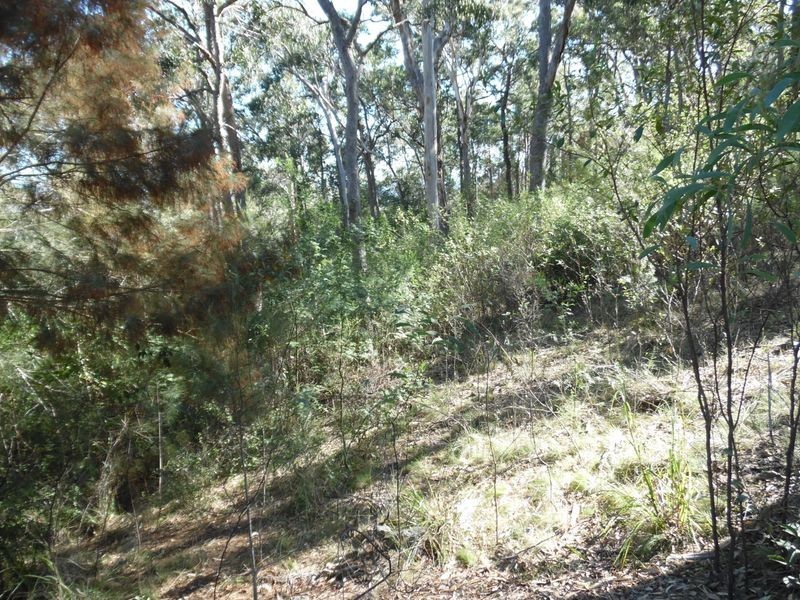 19 Cheetham Street, Moruya NSW 2537