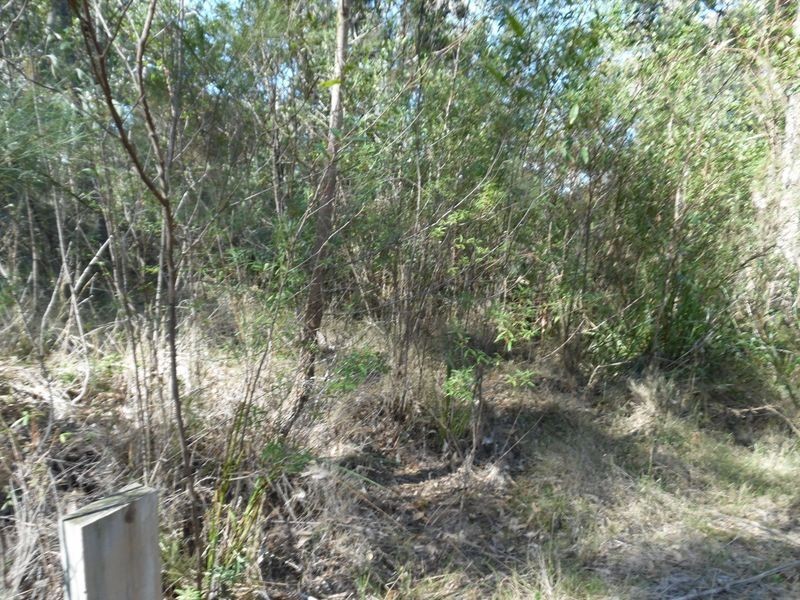 19 Cheetham Street, Moruya NSW 2537