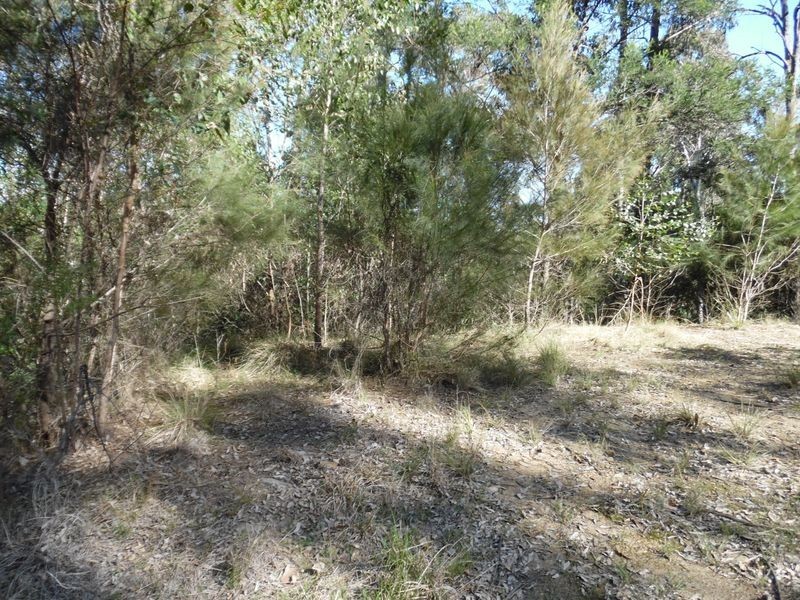 19 Cheetham Street, Moruya NSW 2537