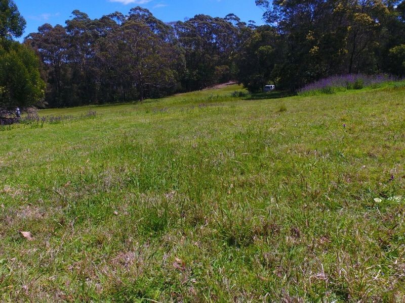 Lots on Forest Lake Close, Turlinjah NSW 2537