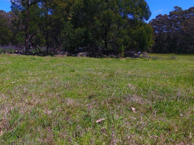 Lots on Forest Lake Close, Turlinjah NSW 2537