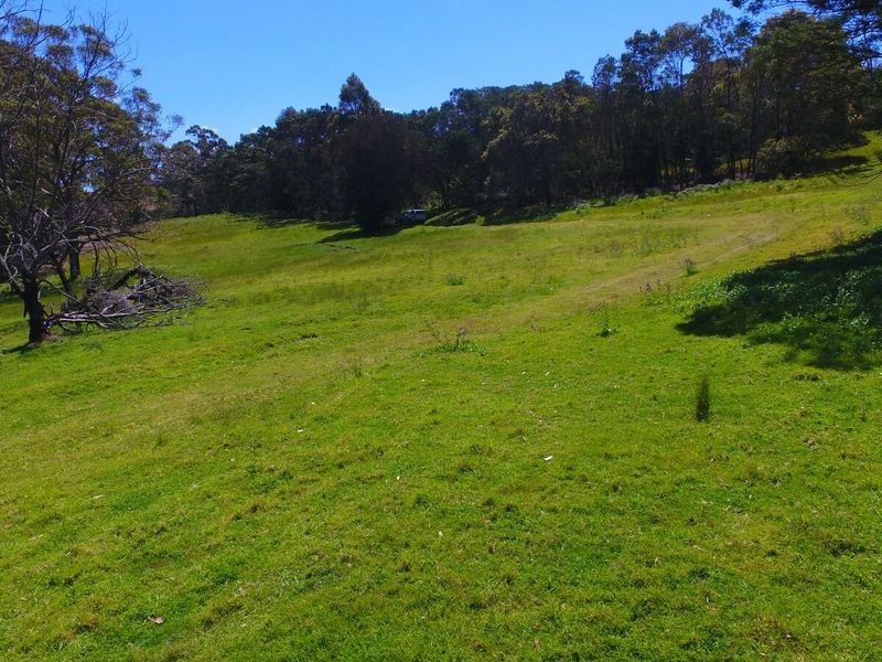 Lots on Forest Lake Close, Turlinjah NSW 2537