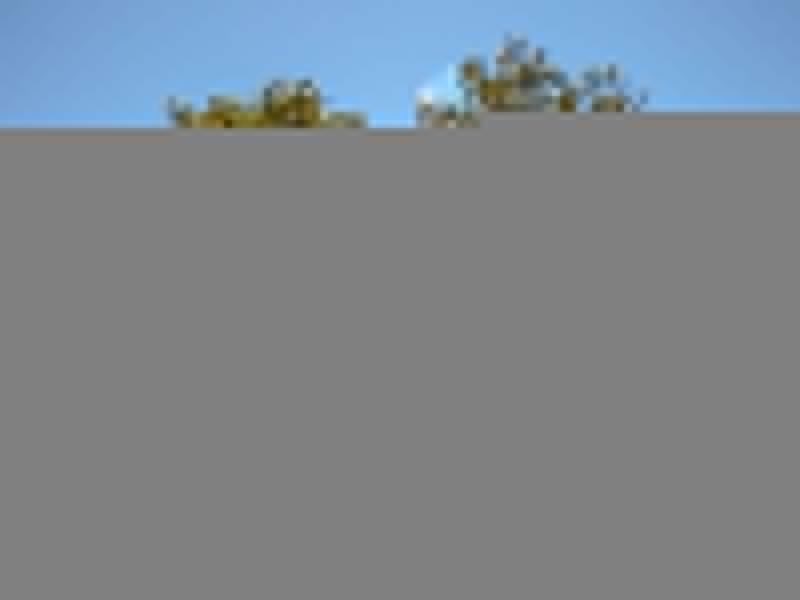 468 Congo Road, Congo NSW 2537