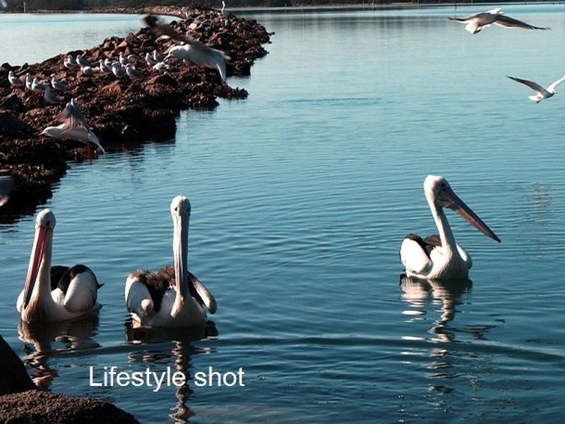 12B Dell Parade, Moruya Heads NSW 2537