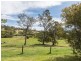 18 Kingfisher Place, Bodalla NSW 2545