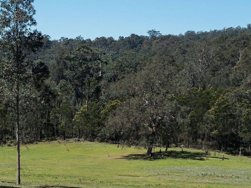 49 Eaglehawke Place, Bodalla NSW 2545