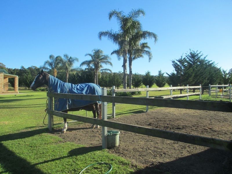 151 Larry’s Mountain Road, Moruya NSW 2537