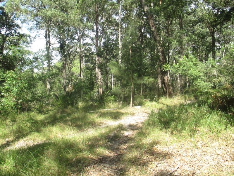 Lot 45 Brindabella Street, Bergalia NSW 2537