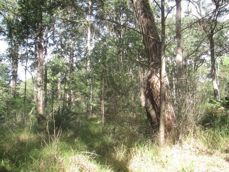 Lot 45 Brindabella Street, Bergalia NSW 2537