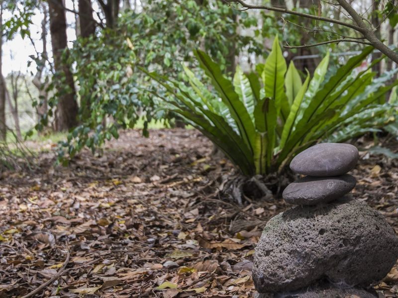 9 Elizabeth Street, Moruya Heads NSW 2537