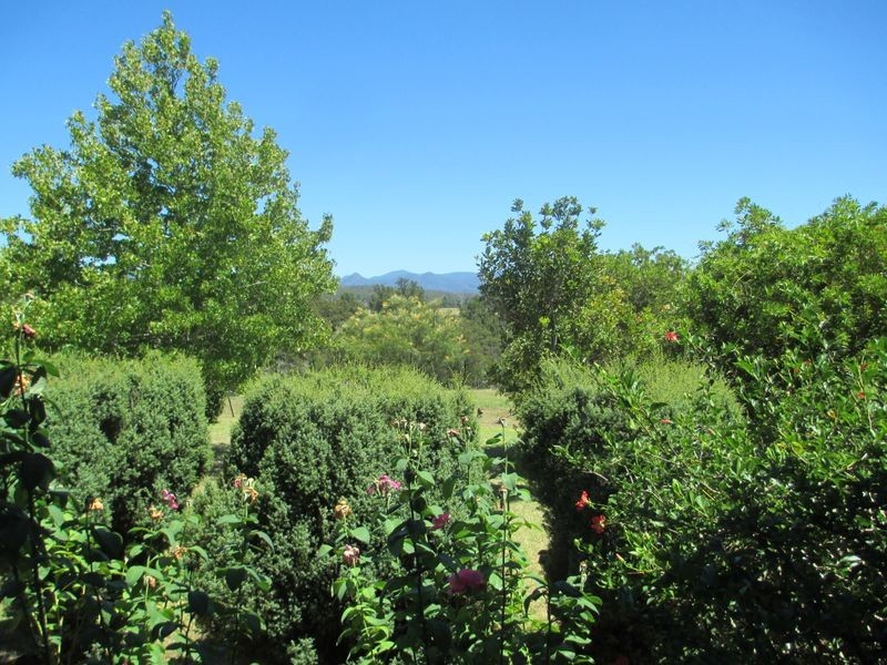 81 Wamban Road, Moruya NSW 2537