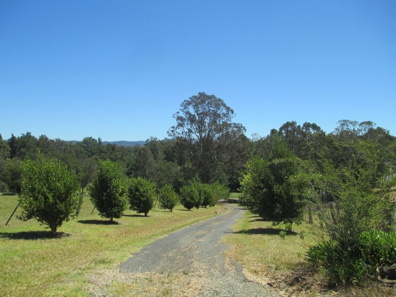 81 Wamban Road, Moruya NSW 2537