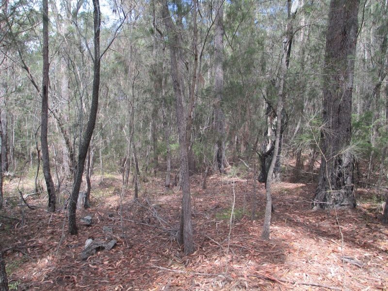 Lot 16 Percy Davis Drive, Moruya NSW 2537