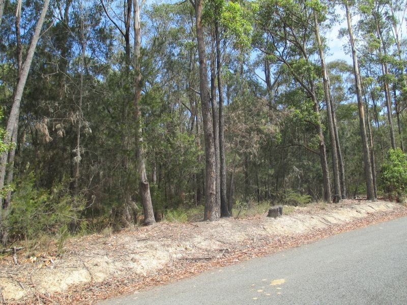 Lot 16 Percy Davis Drive, Moruya NSW 2537