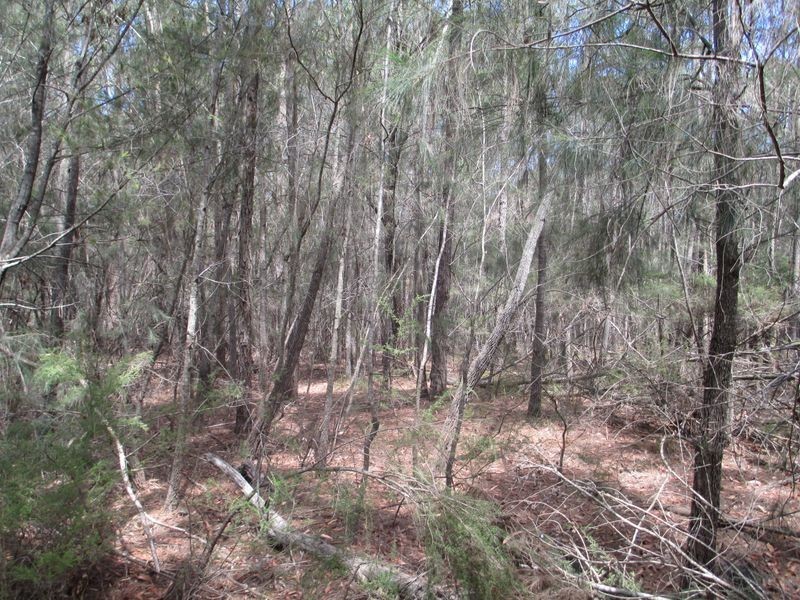 Lot 16 Percy Davis Drive, Moruya NSW 2537