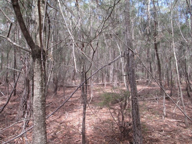 Lot 16 Percy Davis Drive, Moruya NSW 2537