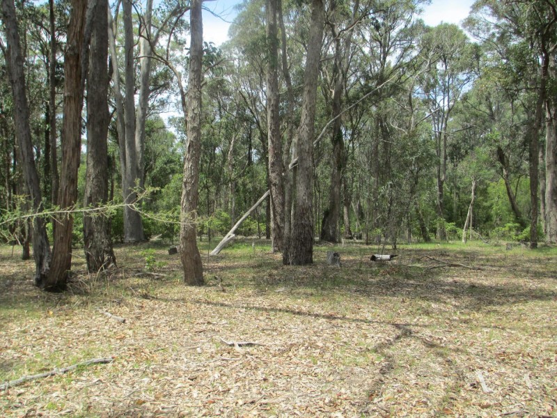 Lot 1 Congo Road DP 804972, Congo NSW 2537