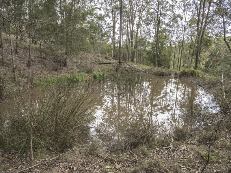 1094 Eurobodalla Road, Bodalla NSW 2545