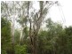 Lot 1 Reedy Creek Road, Bodalla NSW 2545
