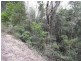 Lot 1 Reedy Creek Road, Bodalla NSW 2545