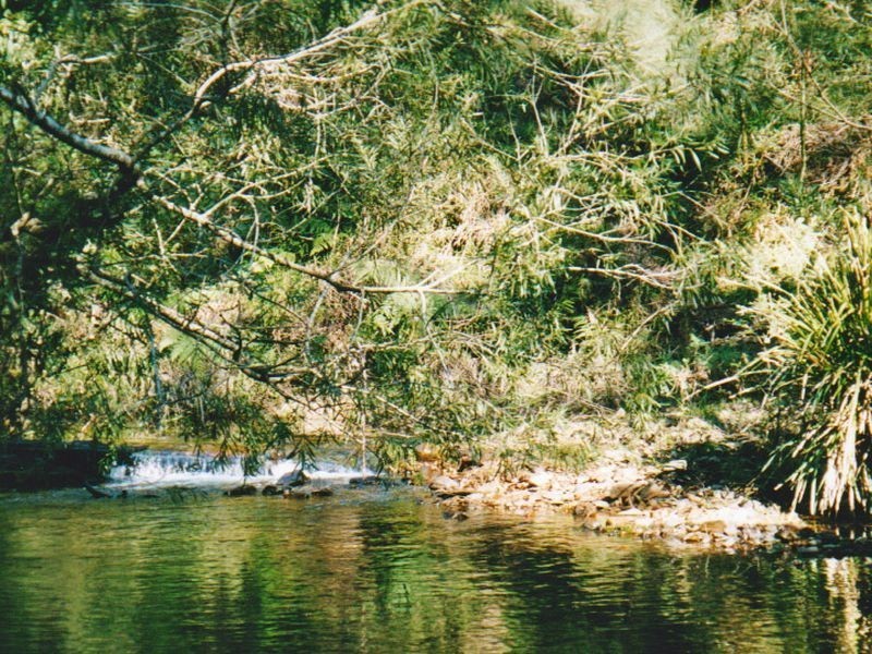 Lot 1 Reedy Creek Road, Bodalla NSW 2545