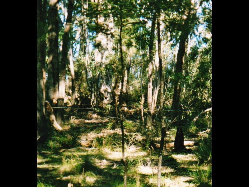 Lot 1 Reedy Creek Road, Bodalla NSW 2545