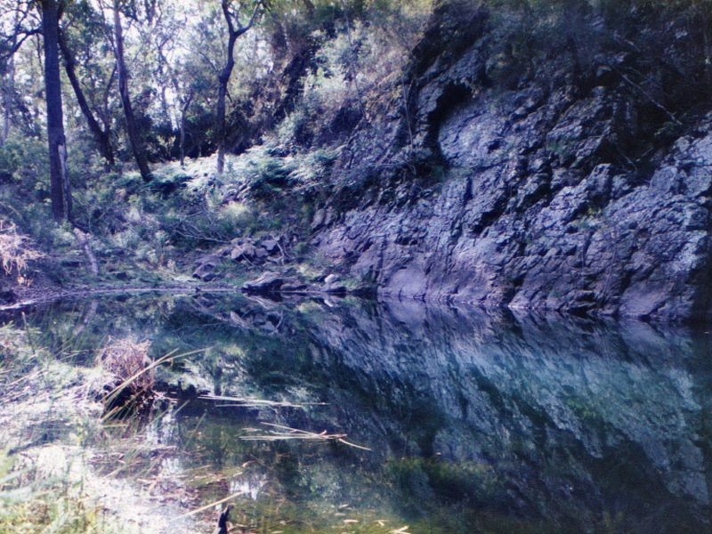 Lot 1 Reedy Creek Road, Bodalla NSW 2545