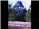 Lot 1 Reedy Creek Road, Bodalla NSW 2545