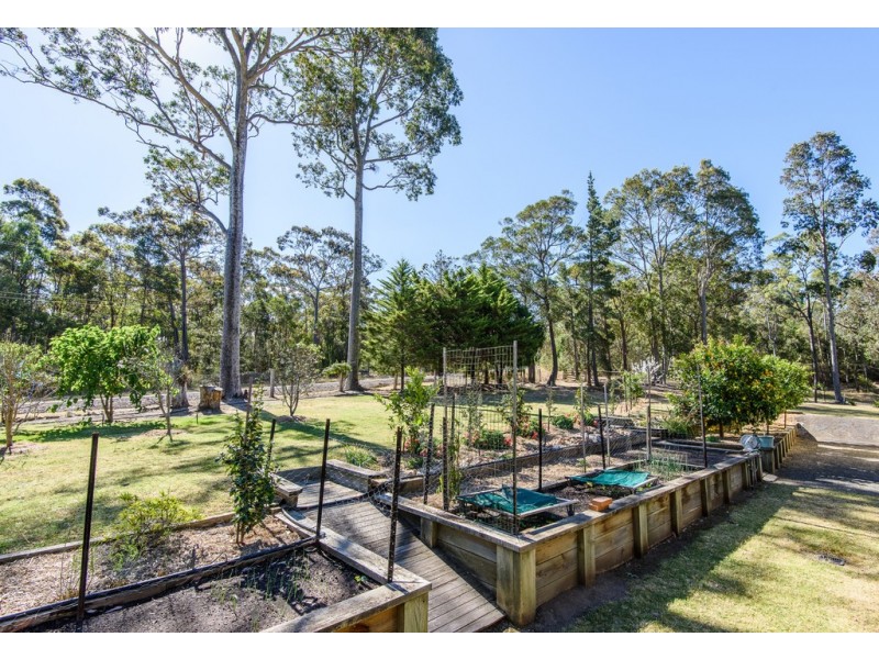 50 Pollwombra Road, Moruya NSW 2537
