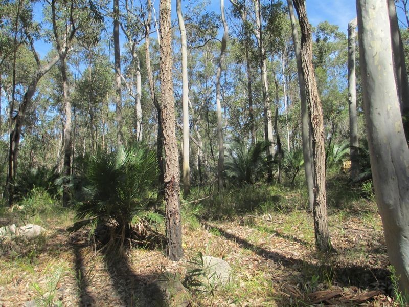 Lot 2/26 Janari Close, Moruya NSW 2537