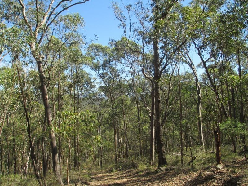 Lots 6 7 8 Dwyers Creek Road, Moruya NSW 2537