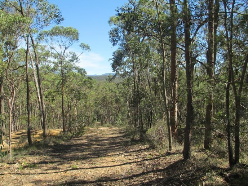 Lots 6 7 8 Dwyers Creek Road, Moruya NSW 2537