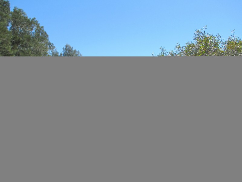 7 Hicken Street, Congo NSW 2537