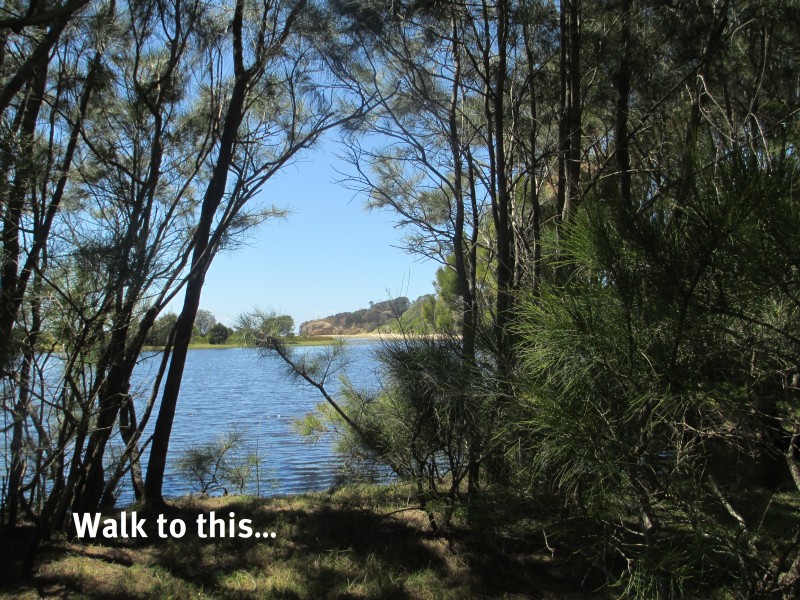 7 Hicken Street, Congo NSW 2537