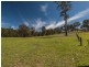 49 Eaglehawk Place, Bodalla NSW 2545