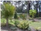1125 Congo Road MERINGO, Moruya NSW 2537