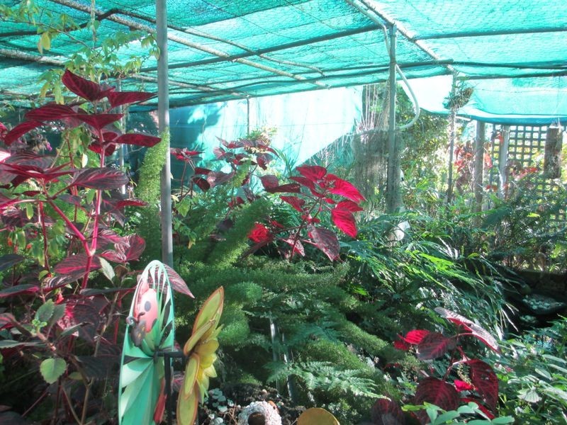 31 Haslingden Street, Moruya NSW 2537