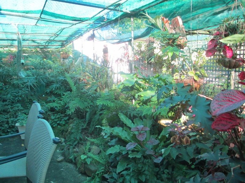 31 Haslingden Street, Moruya NSW 2537