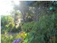 31 Haslingden Street, Moruya NSW 2537