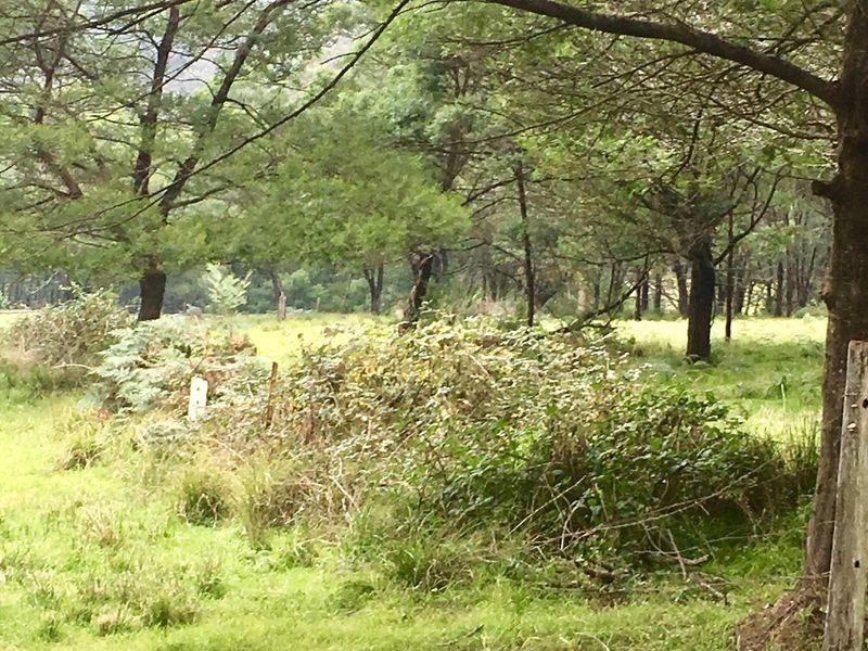 Lots 25 & Eurobodalla Road, Cadgee NSW 2545