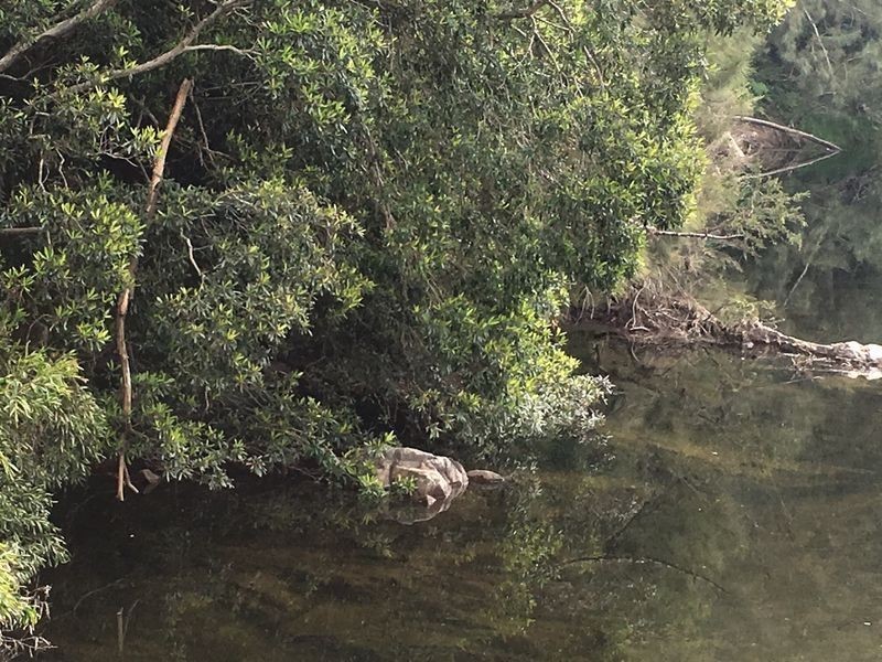 Lots 25 & Eurobodalla Road, Cadgee NSW 2545