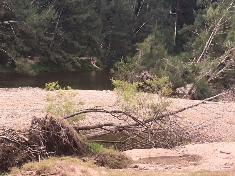 Lots 25 & Eurobodalla Road, Cadgee NSW 2545