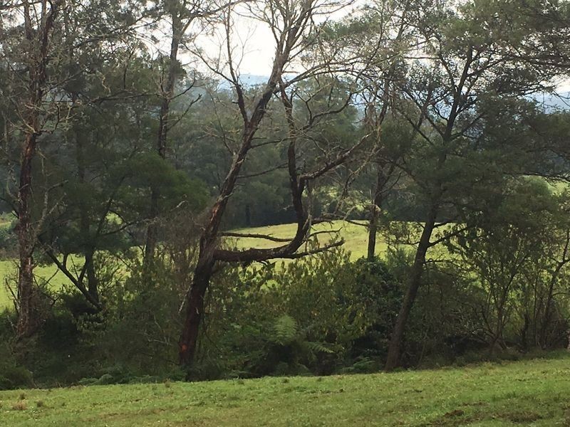 Lots 25 & Eurobodalla Road, Cadgee NSW 2545