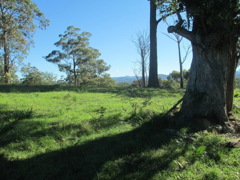 Lot 119 Lyrebird Place, Bodalla NSW 2545