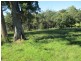 Lot 119 Lyrebird Place, Bodalla NSW 2545