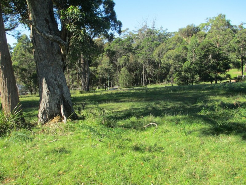 Lot 119 Lyrebird Place, Bodalla NSW 2545