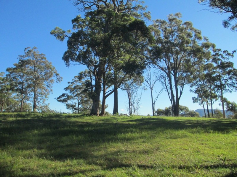 Lot 119 Lyrebird Place, Bodalla NSW 2545