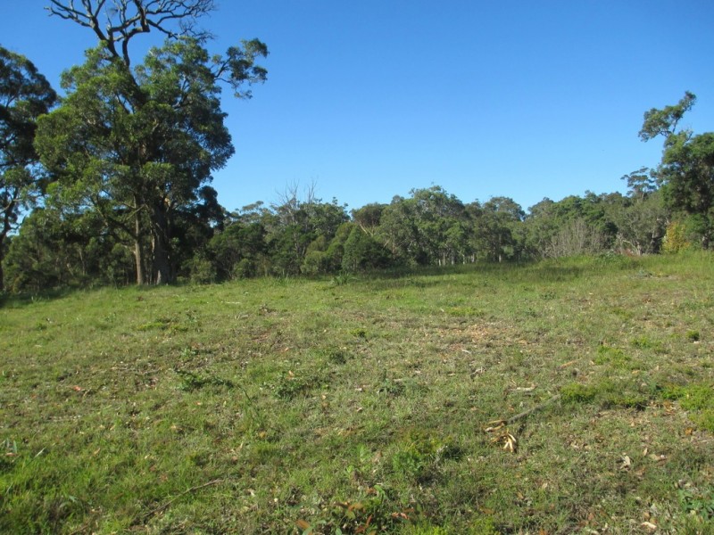 Lot 119 Lyrebird Place, Bodalla NSW 2545